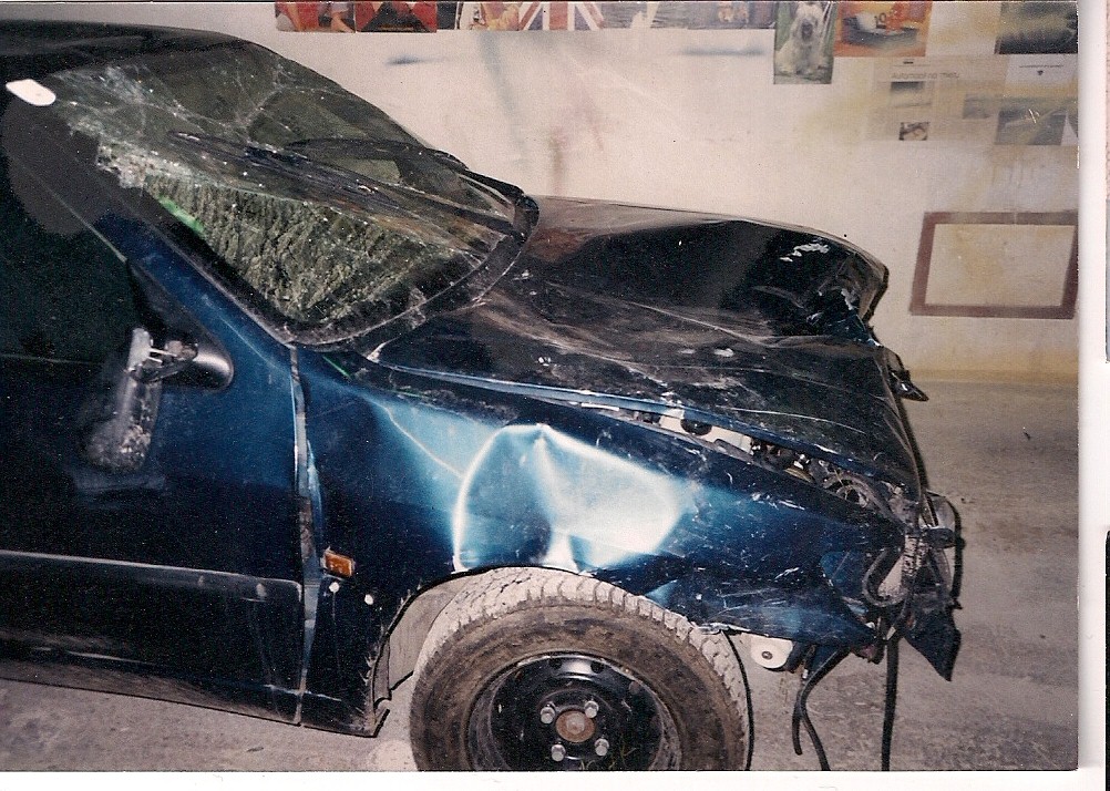 scan0009.jpg