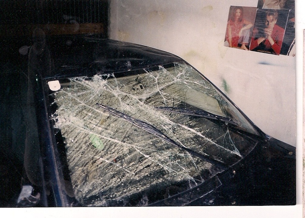scan0010.jpg
